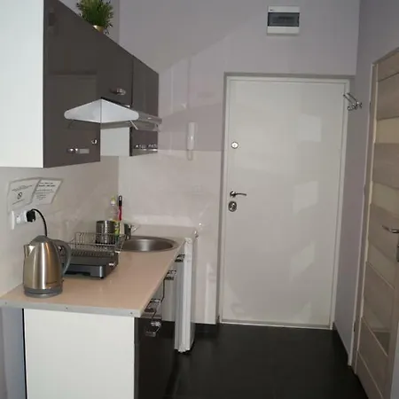Red Apartament Apartment Lodz (Lodz)